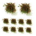 thumbnail image 2 of TISHITA 10Pcs Miniature Grass Tuft Model for Sand Table Trains Railroad Scenery Model Red, 2 of 7