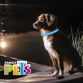 thumbnail image 3 of COLLAR LED BANDAS REFLEJANTES CH., 3 of 4