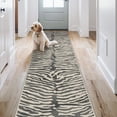 thumbnail image 2 of KUETH 2.5x8 Zebra Runner Rug Machine Washable, Kitchen Runner Rug for Floor and Hallway, Non Slip Flat Pile Area Rug with Rubber Backing for Entryway Bathroom Bedroom Laundry, 2 of 7