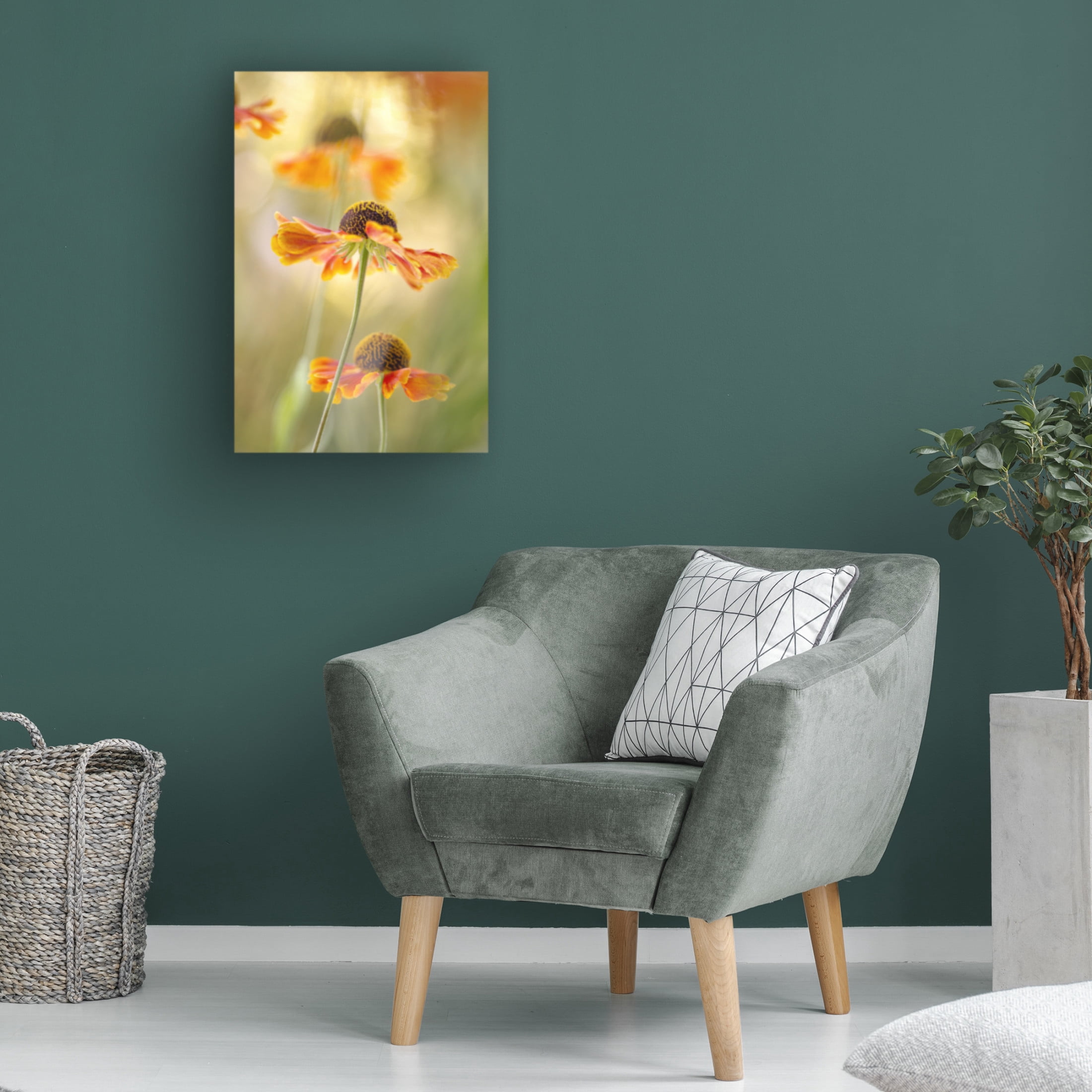 Canvas Wall Art - Mandy Disher 'Helenium' Wall Art for Living Room, Bedroom, or Office D?cor by Trademark Fine Art - 16 x 24 Inches