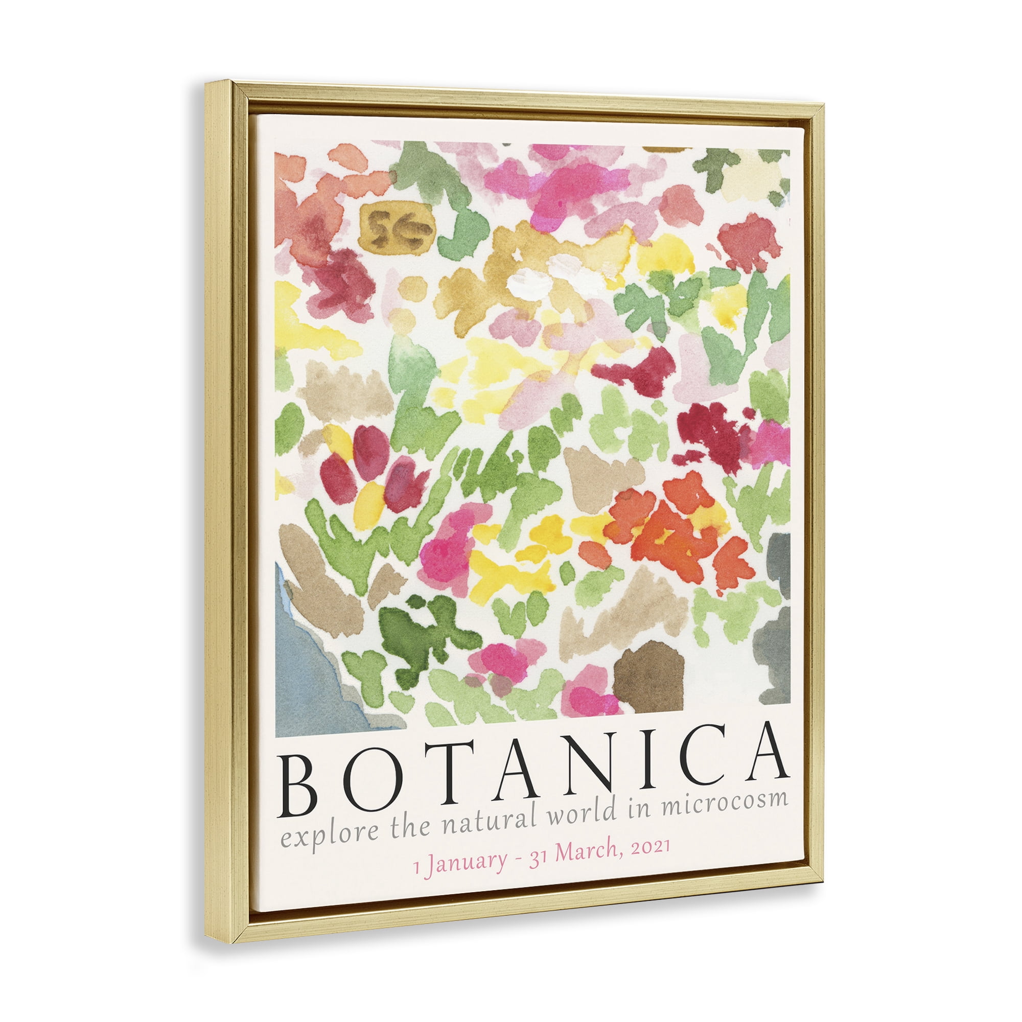 Stupell Industries Botanica Abstract Florals Plants & Flowers Painting Gold Floater Framed Canvas Art Print Wall Art, 25 x 31