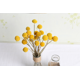 thumbnail image 3 of 20 piezas de flores secas naturales, bolas de Billy, flores, botones de Billy, ramo Floral para arreglos florales, boda, hogar, jarrón alto, decoración amarilla Ofspeizc CQ619, 3 of 6