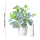 thumbnail image 3 of Artificial Green Plants Simulation Potted Home Office Hotel Lobby Decoration Green Plants Home Decoration Artificial Plants, 3 of 6