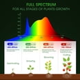 thumbnail image 3 of Grow Light Bulbs, LED Grow Light Bulb A19 Bulb, Full Spectrum Grow Light Bulb, Plant Light Bulbs E26 Base, 11W Grow Bulb 100W Equivalent, Grow Light for Indoor Plants, Seed Starting, 2Pack, 3 of 7