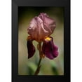 thumbnail image 2 of Crane, Rita 13x18 Black Modern Framed Museum Art Print Titled - Annemaries Irises VI, 2 of 5
