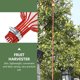 thumbnail image 4 of unbranded 2Ud Fruit Picker Y Cómodo Para Recolección De Variadas, 4 of 7