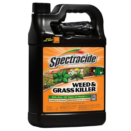 Spectracide Weed and Grass, 1 Gallon