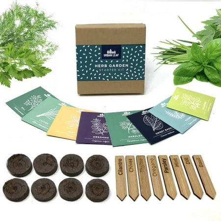 Indoor Herb Garden Starter Kit - Soil Starter Discs, Compact Herb Seed Varieties, Bamboo Labels and Detailed Instructions - DIY Kitchen Grow Kit for Growing Herb Seeds Indoors…