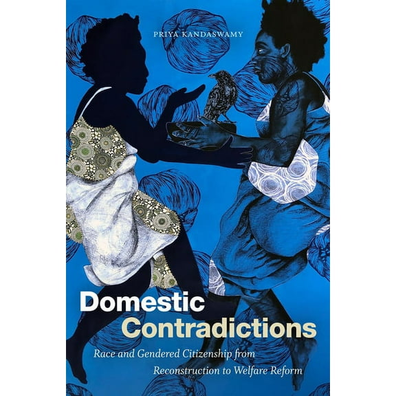 Domestic Contradictions: Race and Gendered Citizenship from Reconstruction to Welfare Reform, (Paperback)