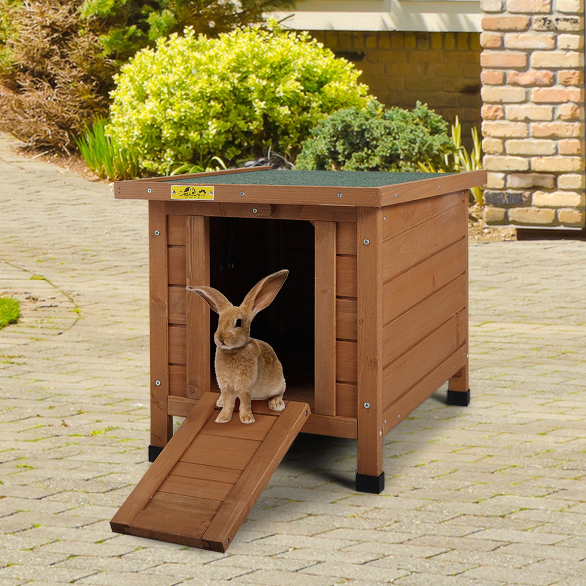 Safe Wood For Rabbits