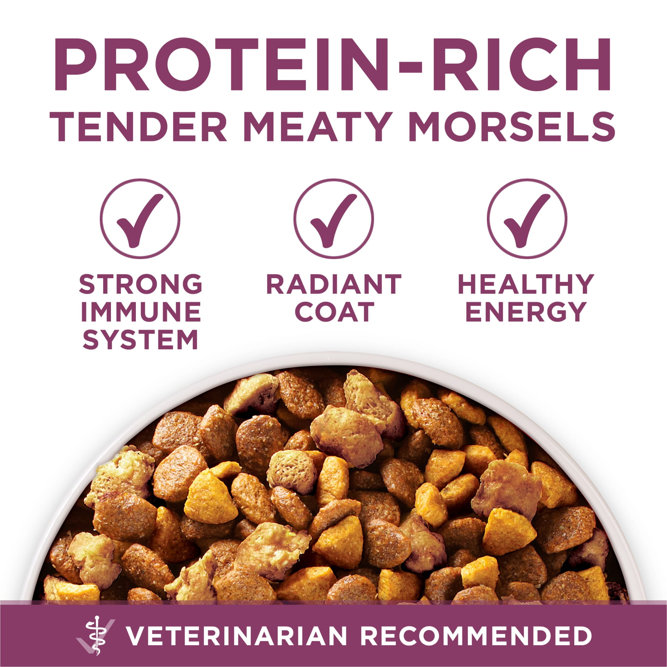 Purina One +Plus Healthy Puppy Dry Dog Food High Protein, Real Chicken, 16.5 lb Bag