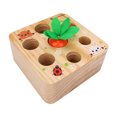 thumbnail image 2 of Juego De Zanahorias Insertadas, Juguete Educativo Superficie Finamente Pulida Juguete De Rábanos De Madera Suave Para Tirar, Para Niños Anggrek DF1911, 2 of 8