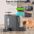 thumbnail image 2 of Alimentador automático de comida y dispensador de agua por gravedad para gatos Gardner Pet, 2 of 8
