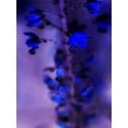 thumbnail image 2 of Teton Parchment 15x18 Gold Ornate Wood Framed with Double Matting Museum Art Print Titled - Morning Rain III, 2 of 4
