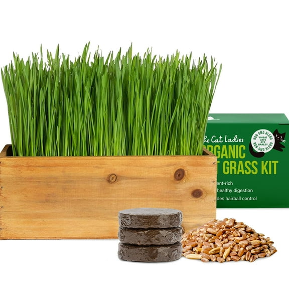 Cat Grass Kit (Organic) Complete with Rustic Wood Planter, Seed and Soil. Easy to Grow