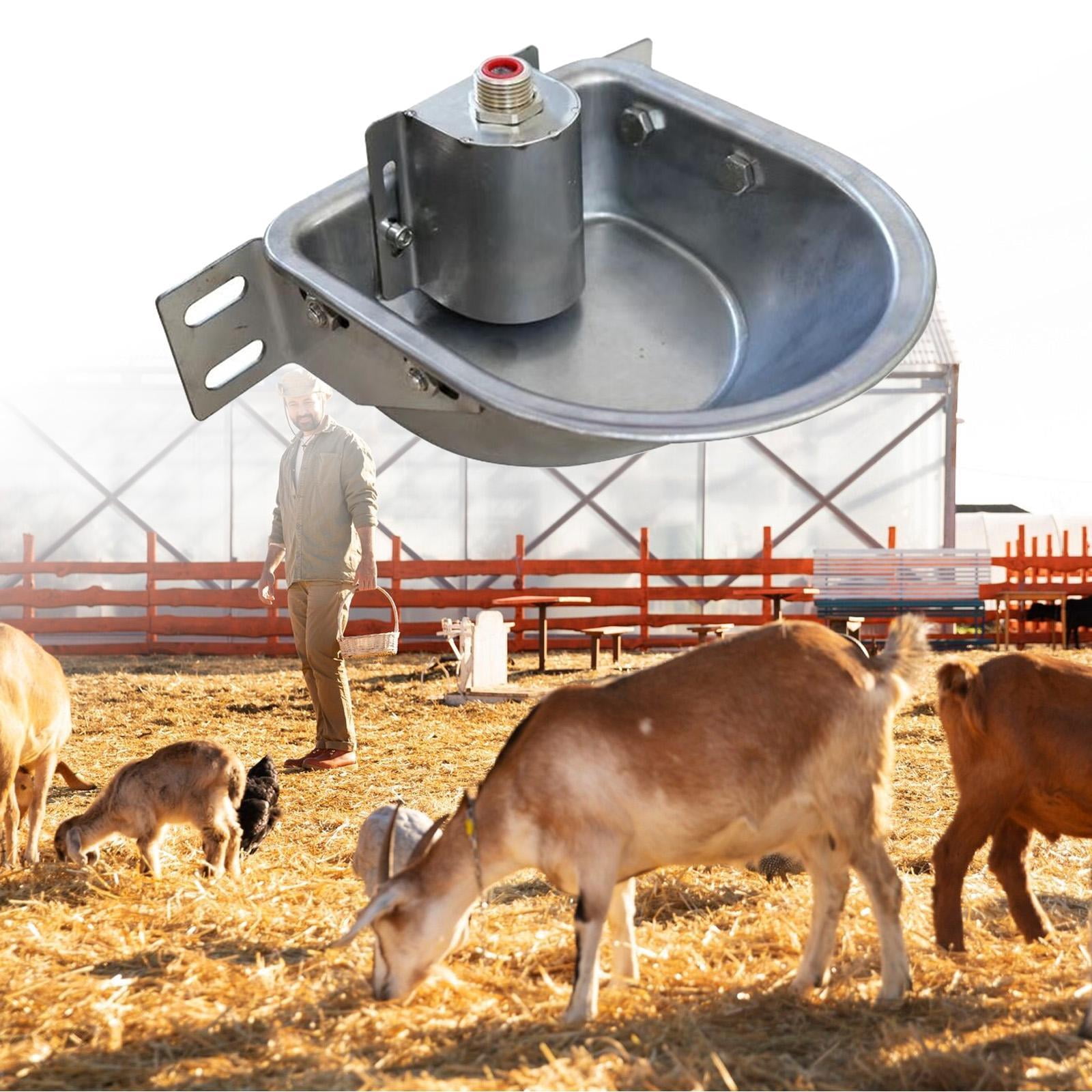 Fzaqwen Automatic Animal Waterer Bowl Stainless Steel Farm Drinker Fountain Water Trough without Drain Hole