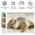 thumbnail image 2 of Diamond Dotz Baby Pie Cat Diamond Painting Kits for Adults - Diamond Art Kits a Relaxing Creative Craft Kit with Dotz Gems 12.2"x16.1", 2 of 5