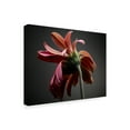 thumbnail image 2 of Trademark Fine Art 'Studio Flowers IV' Canvas Art by James McLoughlin, 2 of 4