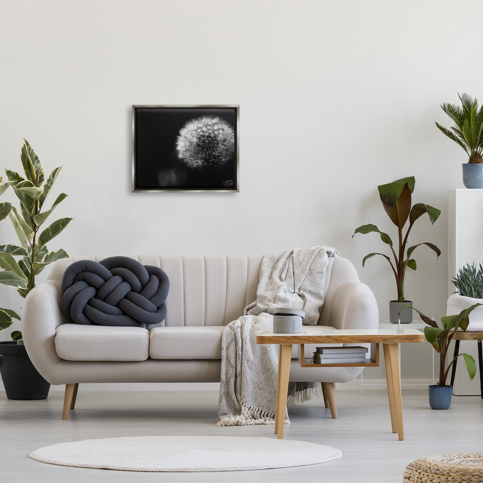 Stupell Modern Black Dandelion Photography Botanical & Floral Photography Gray Floater Framed Art Print Wall Art