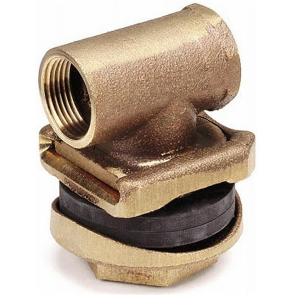 Pentair Water A10148LF-P2 1 in. Pitless Adapter