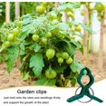 thumbnail image 4 of 10 pinzas de soporte para plantas de jardín, pinzas para tallos de flores para sujetar enredaderas de flores, rosas, plantas en espaldera, etc., pinza para pez L, 4 of 5