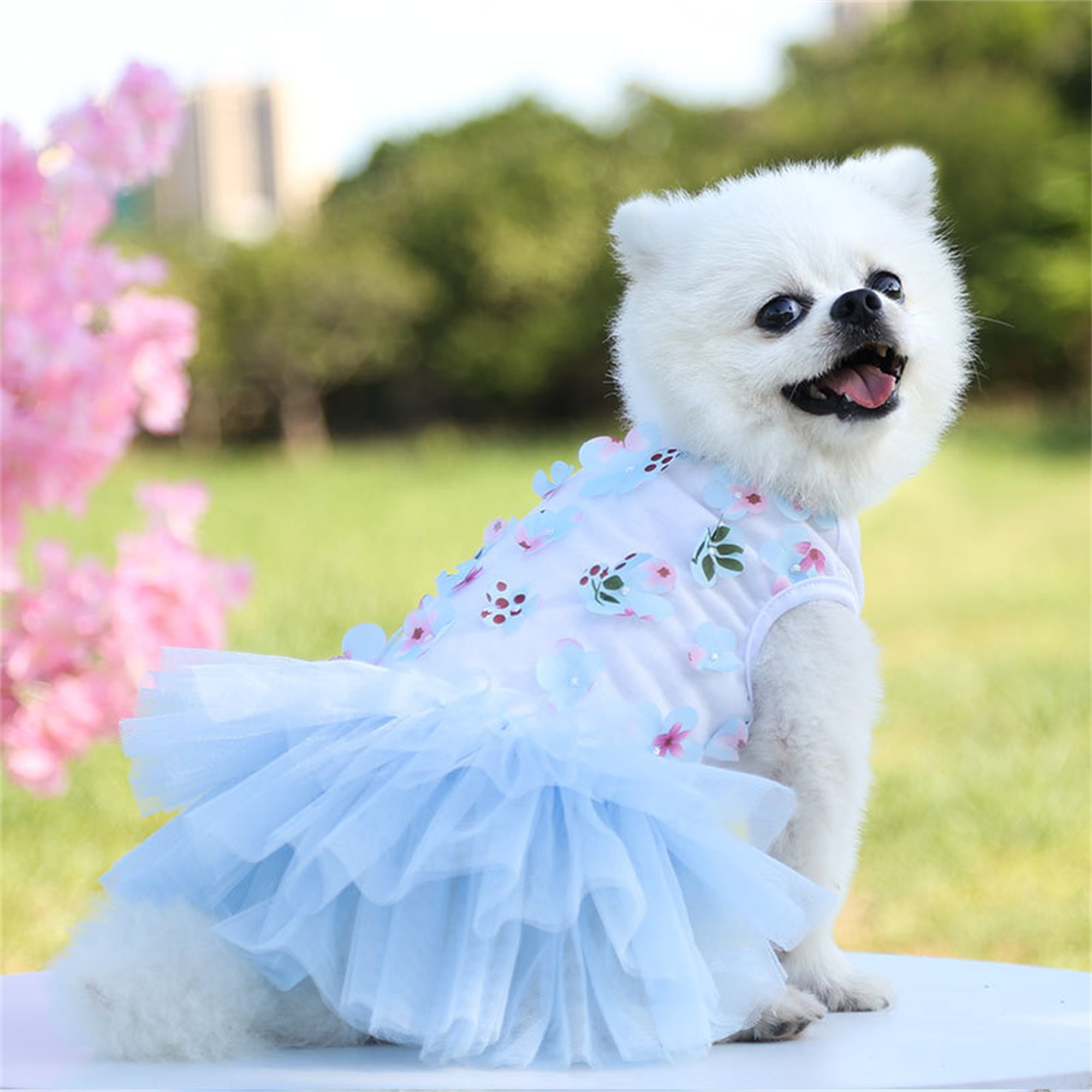 Rose Red, Red,Medium 2 Pieces Small Dog Dress for Girl Puppy Dress Dog Skirt Pet Tutu Princess Dress Organza Floral Puppy Dresses Apparel for Small to Large Pets Cats Dogs Girl Outfits 