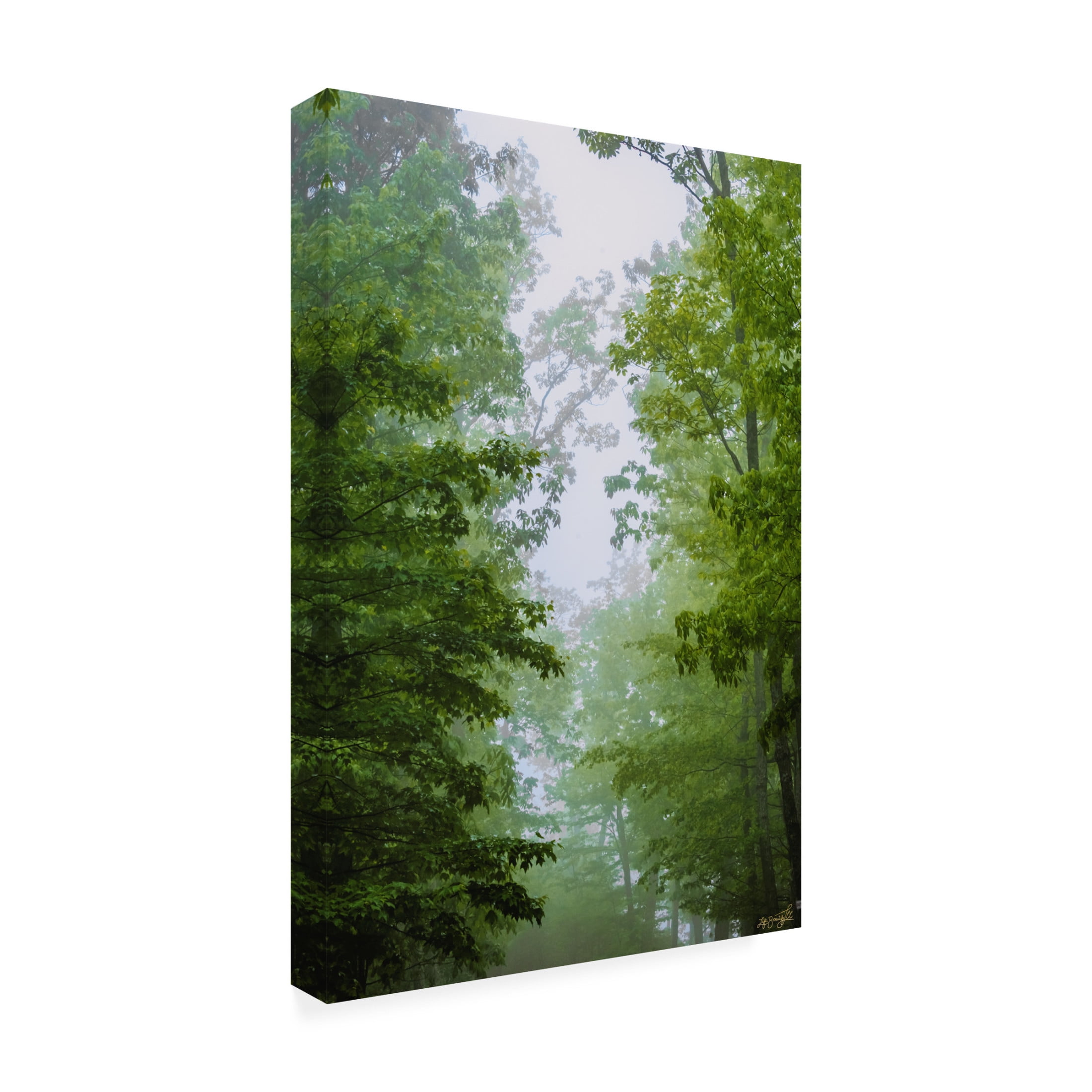 Canvas Wall Art - Life BeautifuLEE 'Green Glow Woods 1' Wall Art for Living Room, Bedroom, or Office Décor by Trademark Fine Art - 30 x 47 Inches