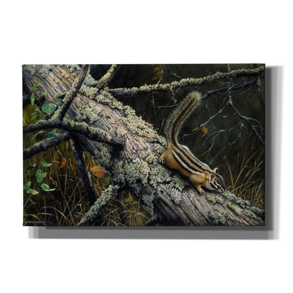 Epic Graffiti 'Eastern Chipmunk' by Harro Maass, Canvas Wall Art, 60"x40"