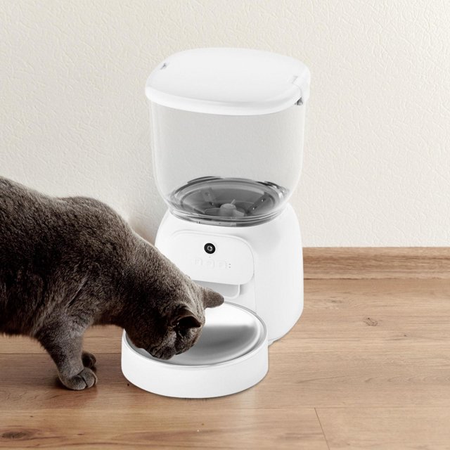 Comedero automático para gatos, cuenco de acero inoxidable desmontable con cámara, 1-10 comidas al día, dispensador de comida para gatos, comederos