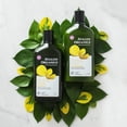 thumbnail image 2 of Avalon Organics Clarifying Lemon Shampoo, 2 of 4