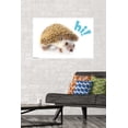 thumbnail image 3 of Trends International Hedgehog - Hi Poster, 3 of 4
