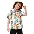 thumbnail image 3 of WOYY Boys Hawaii Beach Shirt Summer Vacation Short Sleeve Button Shirt, Sizes 6M-8Y, 3 of 3