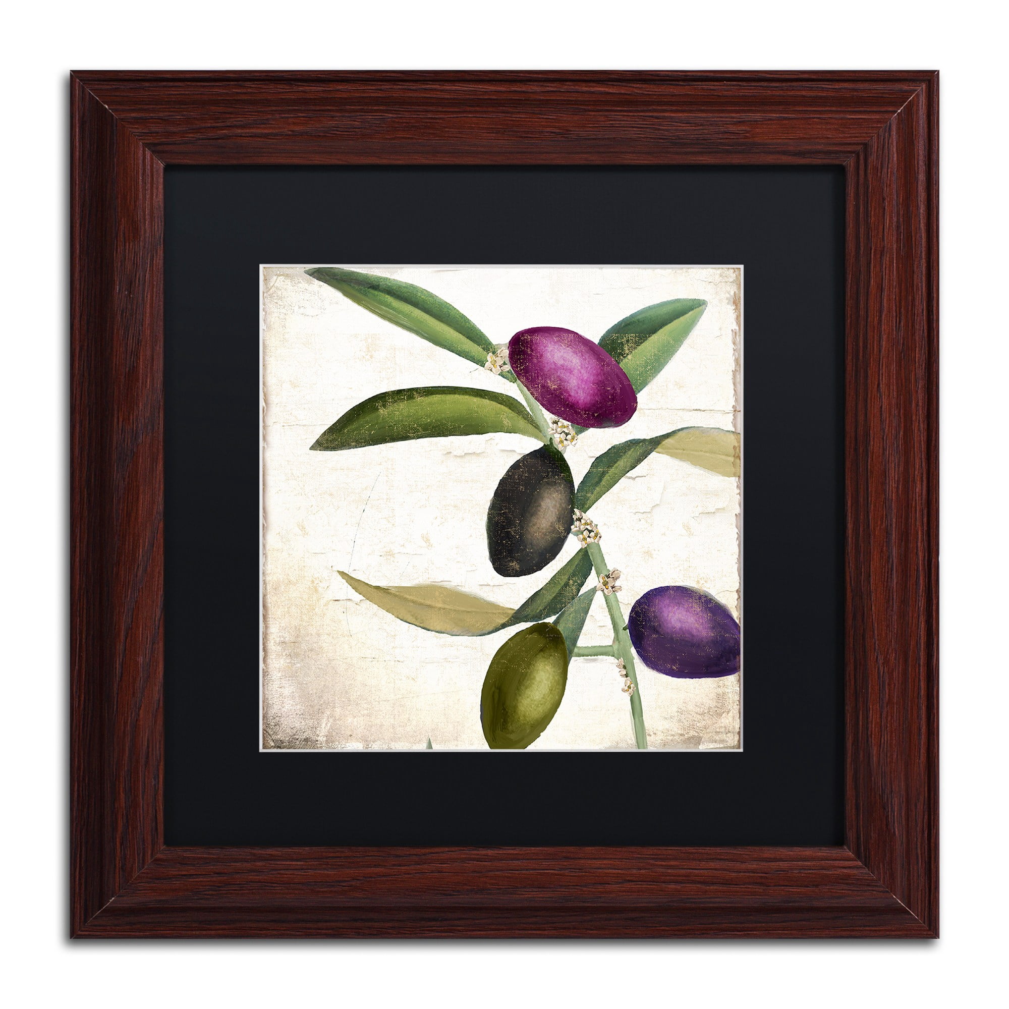 Trademark Fine Art "Olive Branch II" Canvas Art by Color Bakery, Black Matte, Wood Frame