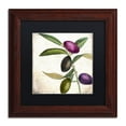 thumbnail image 2 of Trademark Fine Art "Olive Branch II" Canvas Art by Color Bakery, Black Matte, Wood Frame, 2 of 4