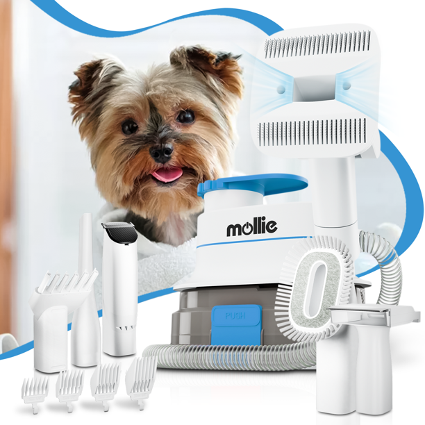 mollie Dog Cat Grooming Kit & Vacuum Suction & Blower 3in1, Professional Pet Grooming Vacuum