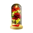 thumbnail image 1 of Regalo de flores preservadas Dinheiro, rosa iluminada en cúpula de vidrio, regalos de rosas eternas para siempre, 1 of 5