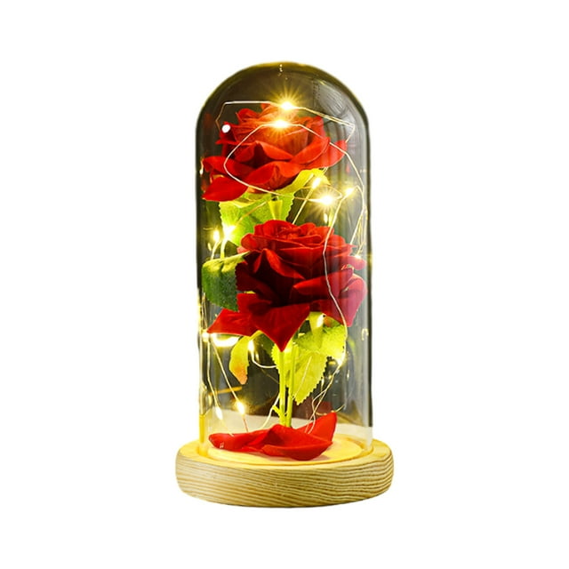 Regalo de flores preservadas Dinheiro, rosa iluminada en cúpula de vidrio, regalos de rosas eternas para siempre