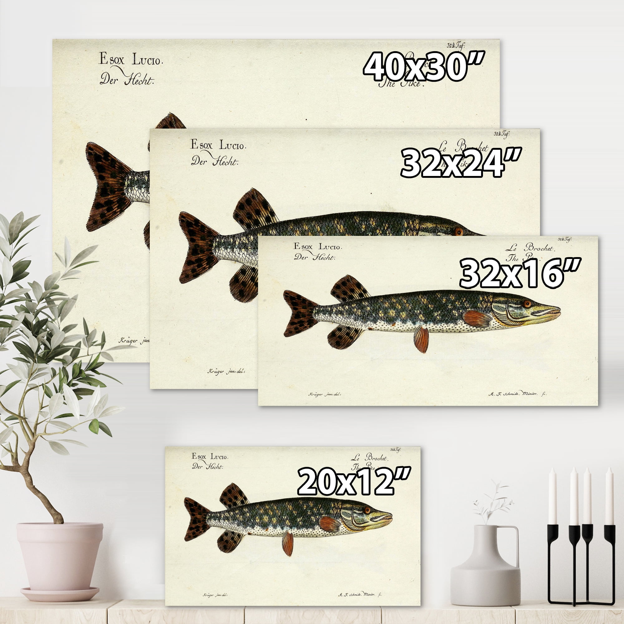 Designart ' Portrait Of A Green Fish On Beige ' Nautical & Coastal Canvas Wall Art Print