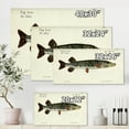 thumbnail image 4 of Designart ' Portrait Of A Green Fish On Beige ' Nautical & Coastal Canvas Wall Art Print, 4 of 4