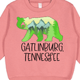 thumbnail image 3 of Inktastic Gatlinburg, Tennessee Mountains and Bear Shape Toddler Sweatshirt, 3 of 4