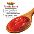 Red Gold Tomato Sauce, 15 oz Can