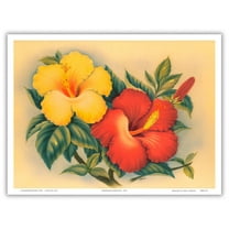 Hawaiian Hibiscus - Hawai’i State Flower - Vintage Hawaiian Airbrush Art by Eve Hawaii c.1940s - Master Art Print (Unframed) 9in x 12in