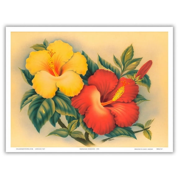 Hawaiian Hibiscus - Hawai’i State Flower - Vintage Hawaiian Airbrush Art by Eve Hawaii c.1940s - Master Art Print (Unframed) 9in x 12in