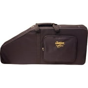 Oscar Schmidt Autoharp - Semi-Rigid Backpack