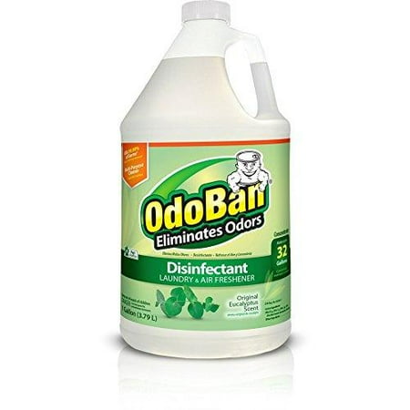 OdoBan Multipurpose Cleaner Concentrate, 1 Gal, Original Eucalyptus Scent - Odor Eliminator, Disinfectant, Flood Fire Water Damage Restoration Gallon 3.79 Litre (1