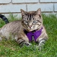 thumbnail image 3 of Voyager Step-In Lock Dog Harness & Reflective Leash Set w/ Neoprene Handle 6ft - For Small to Large Breed Dogs/ Cats, Cute & Heavy-Duty for Walking, Running & Training - Purple Purple Trim, M, 3 of 9