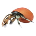 thumbnail image 1 of Modèle de Jouet de Modèle d'Animaux de Vie de Mer, Modèle Éducatif Simulé d'Ermite pour le Jeu à Domicile pour les Enfants de 3 Ans et Plus, 1 of 8
