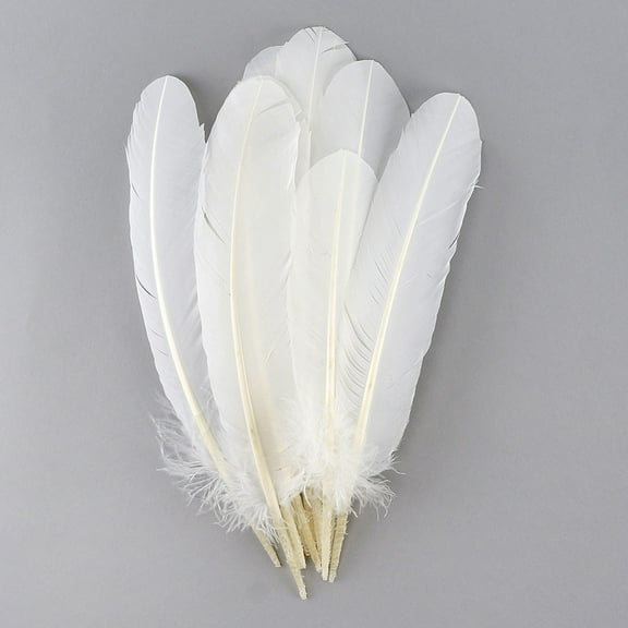 Zucker Feather Products Turkey Quills Selected - Right Wing - 10-12" - White