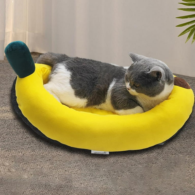 Are Dog Beds Bad For Dogs