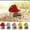 Green, variant on Ceramic Hamster Hideout Cute Mushroom Shape Hamster House and Habitat Cool Hamsters Hide Suitable, Mice, Dwarf Hamsters, Gerbils